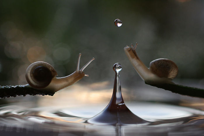 macro14