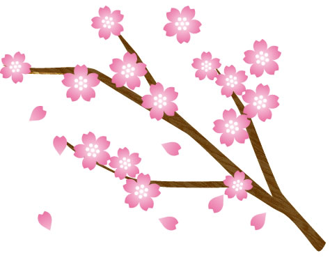 sakura03-001
