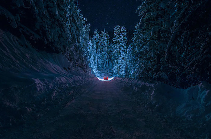 beautiful-mysterious-forests-2__880