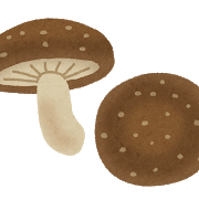 kinoko_shiitake