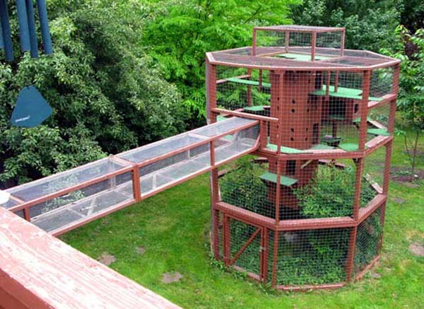 home-for-animal-lovers10