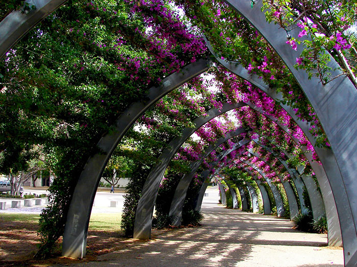 avenue12