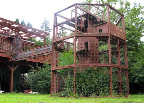 home-for-animal-lovers13