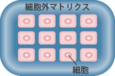 images_11