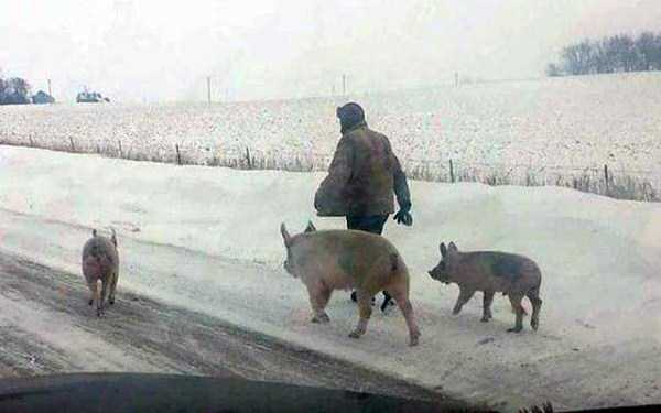 russia-is-weird-46