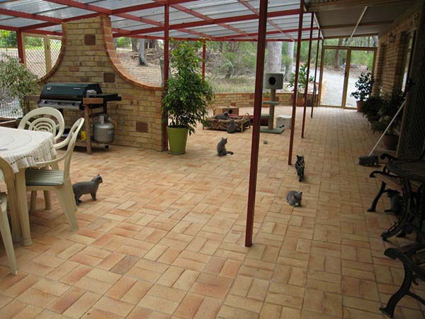 home-for-animal-lovers11