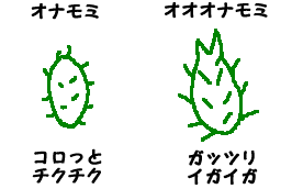 onamomi
