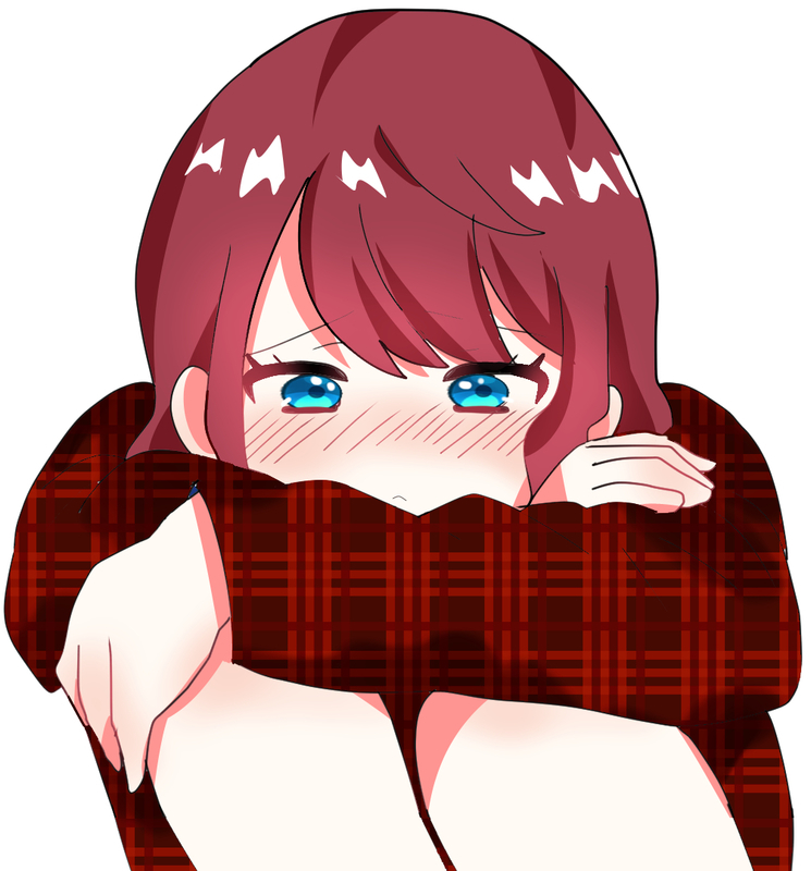 2517053.jpg