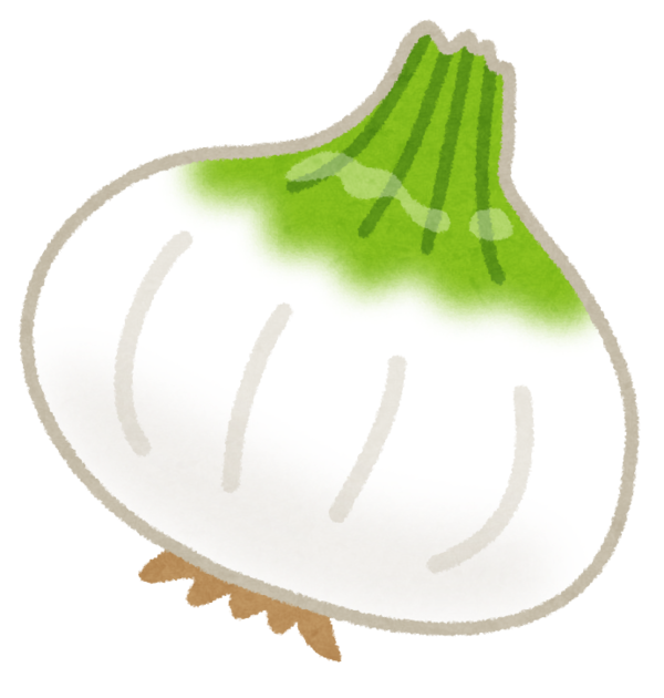 vegetable_shintamanegi