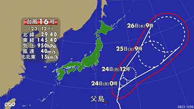 K10010199431_1508231316_1508231317_01_04