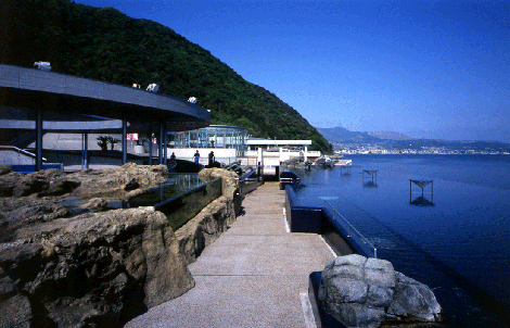 20080330221528_3
