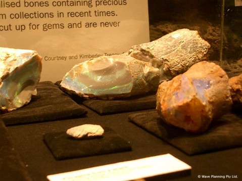 dino_opal-610x457