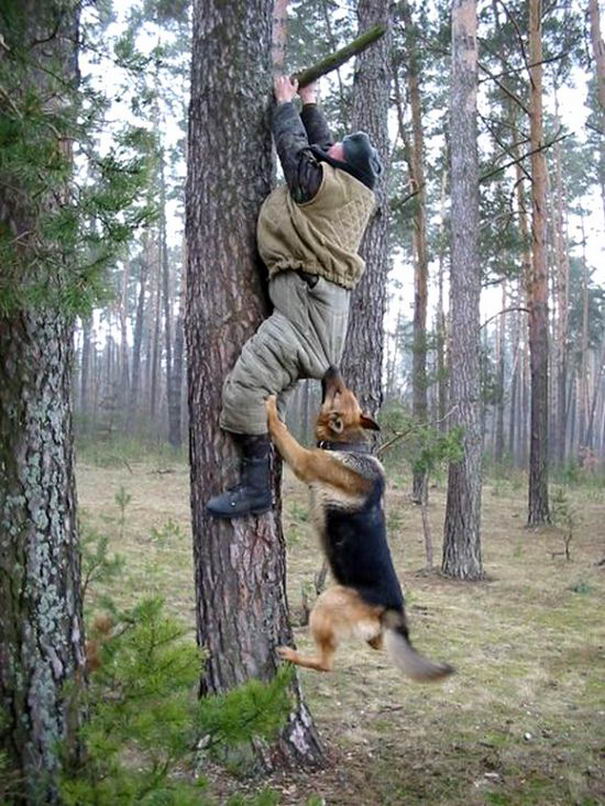 animal-attack-people-04