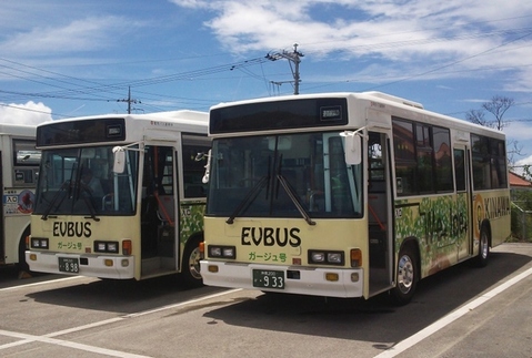 yh20130909Okinawa_EV_590px