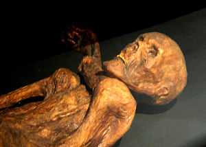 300px-Otzi-Quinson