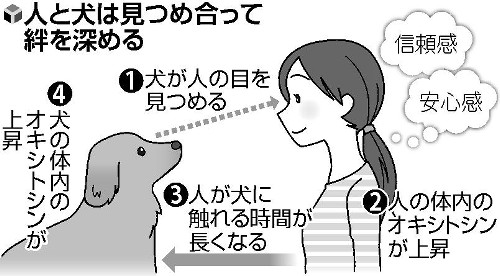 20150417-OYT1I50000-L
