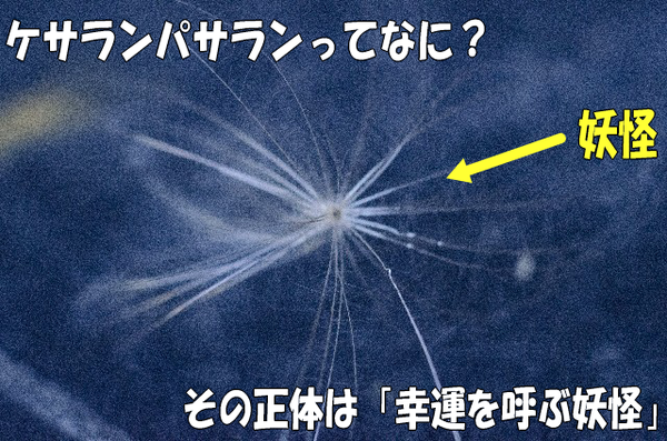 ケサランパサラン1