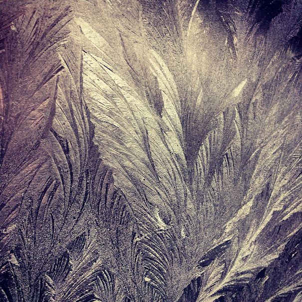 frozen19
