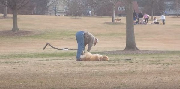 キャプチャ