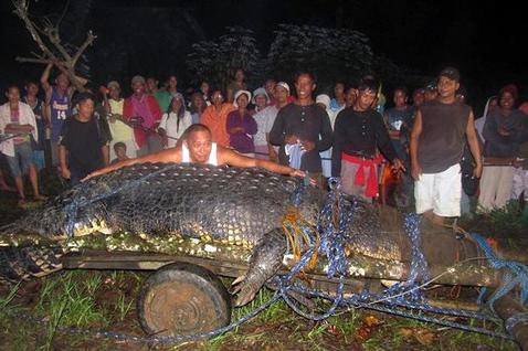 95359889_Croc_207564c