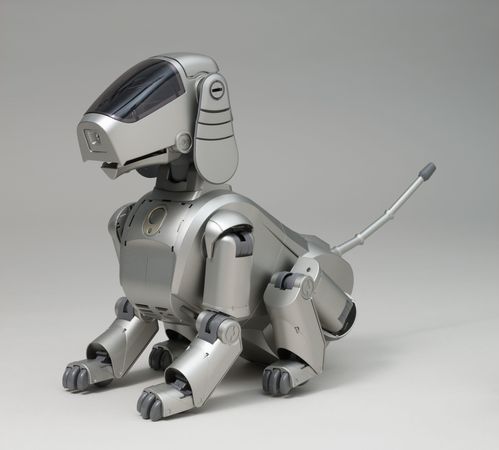 AIBO-ERS-110_001