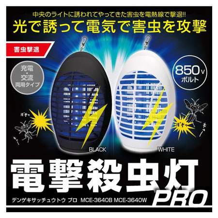 shioken_son-81