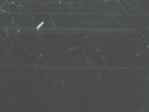 Cloud_chamber_ani_bionerd