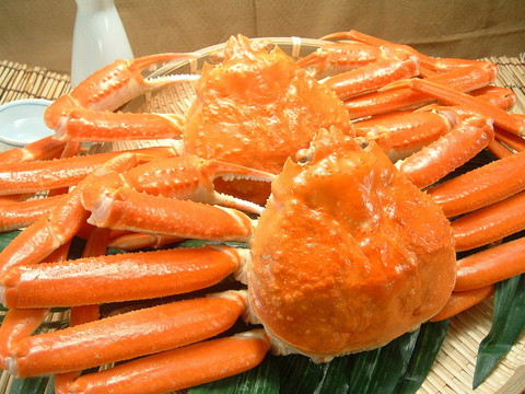 kani_zuwai