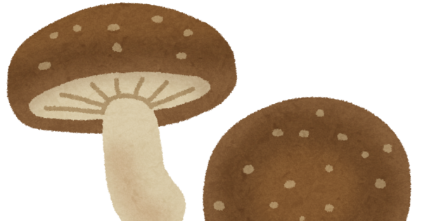 kinoko_shiitake