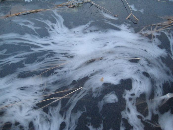 ice25