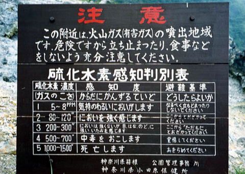 C2chzav