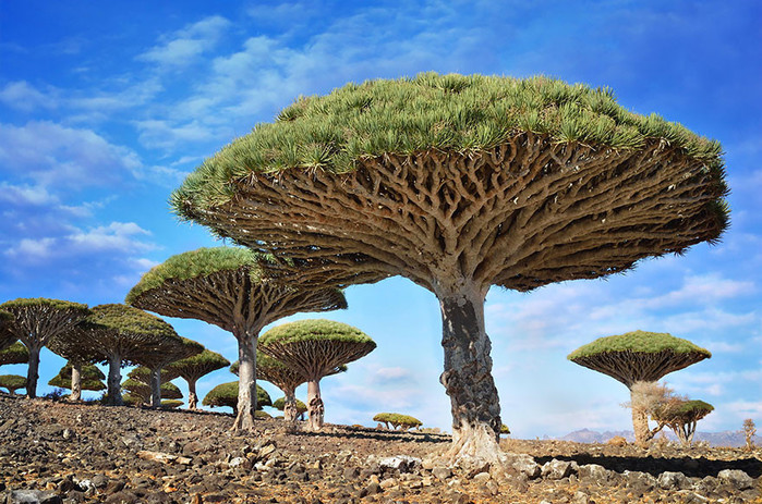 Incredible-Places9