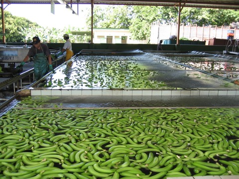 BananaFactory