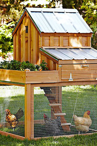 chickencoops15