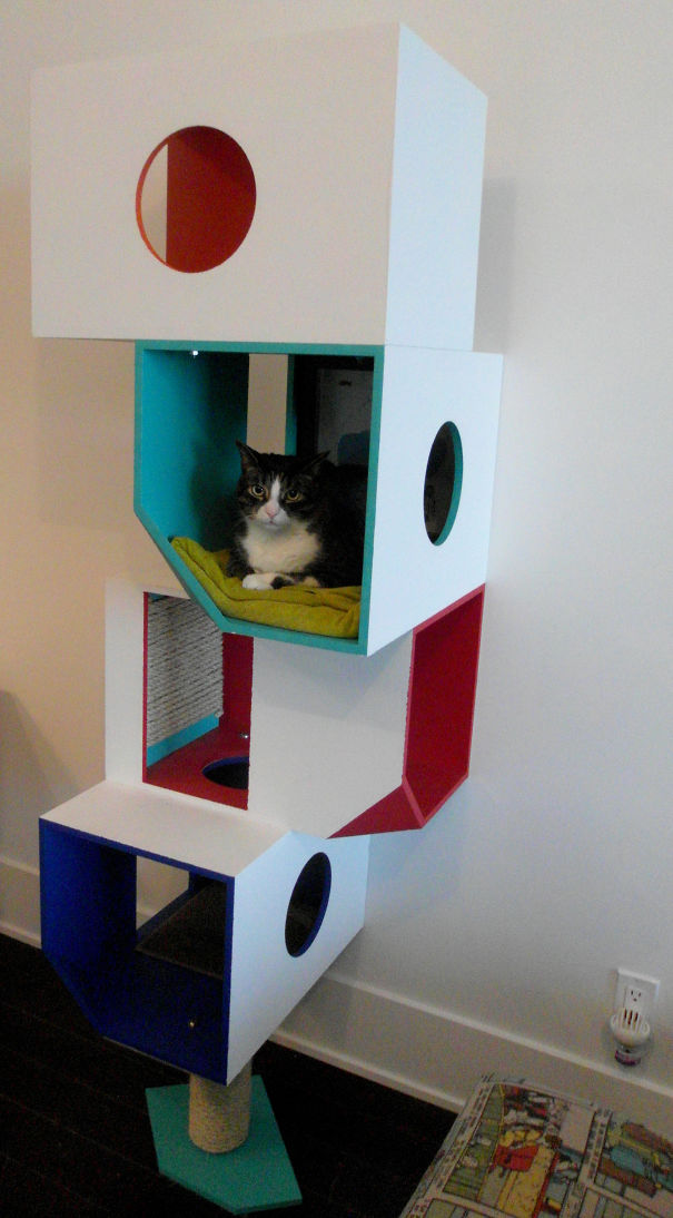 cat12