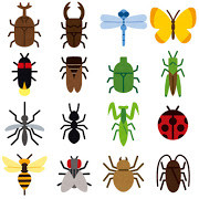 thumbnail_bug_mark