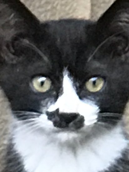 DFFnnZkU0AE4_hw