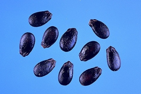 952