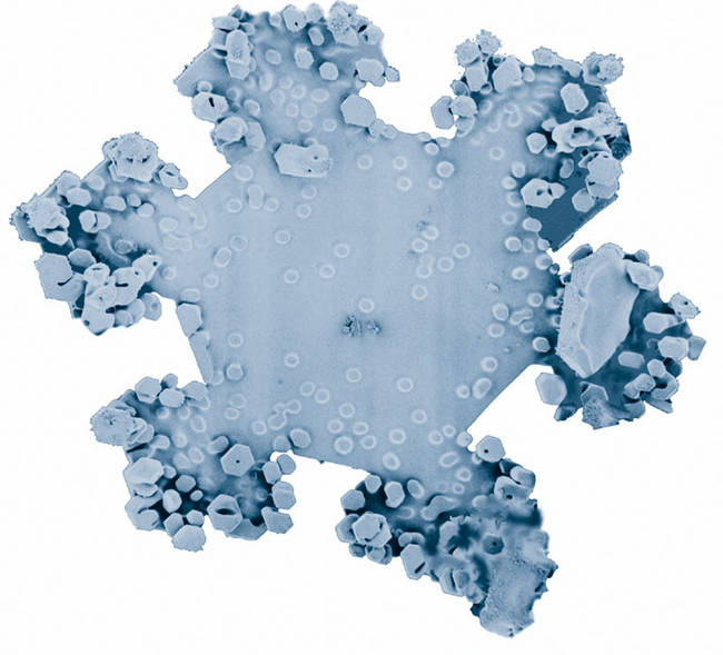 snowflake3