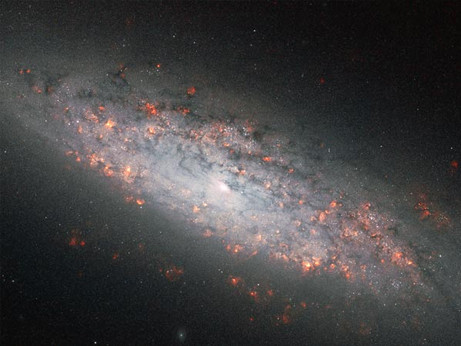 space122-hubble-ngc-6503_29633_big