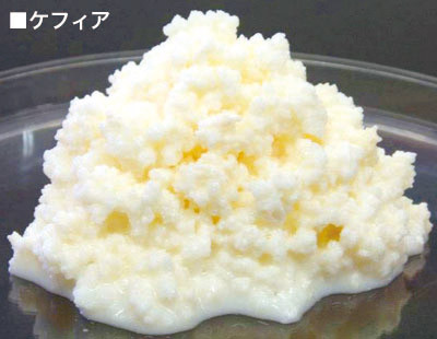 kefia01