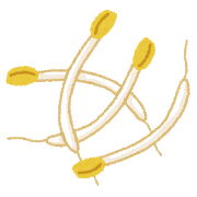 food_moyashi.png