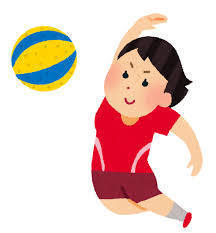 sports_soft_volleyball (1).png